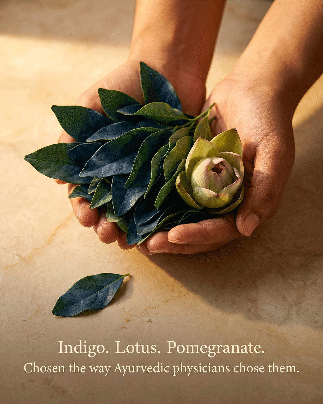 Krishna Hair Pack ingredient amla henna indigo source and craft — small batch handcrafted hair pack Parijat Blooms